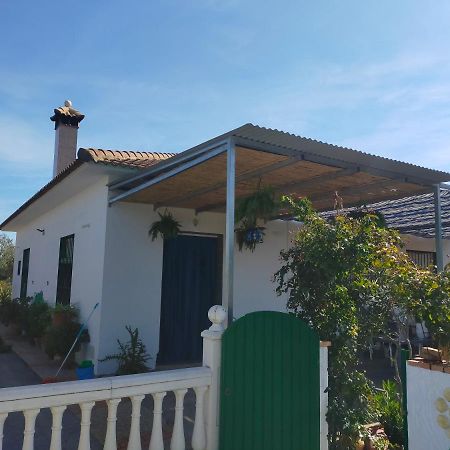 Alojamiento Rural La Perdiz La Puebla de los Infantes Esterno foto