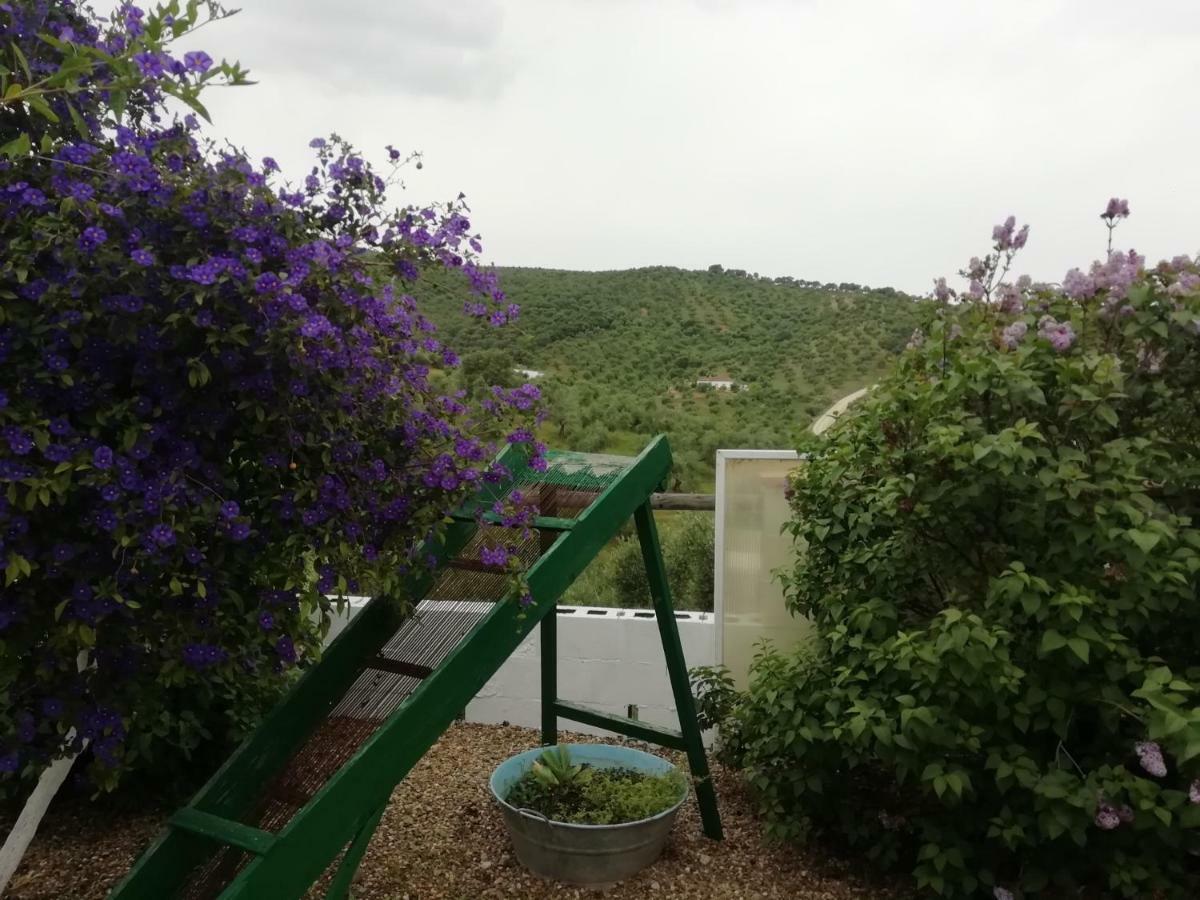 Alojamiento Rural La Perdiz La Puebla de los Infantes Esterno foto